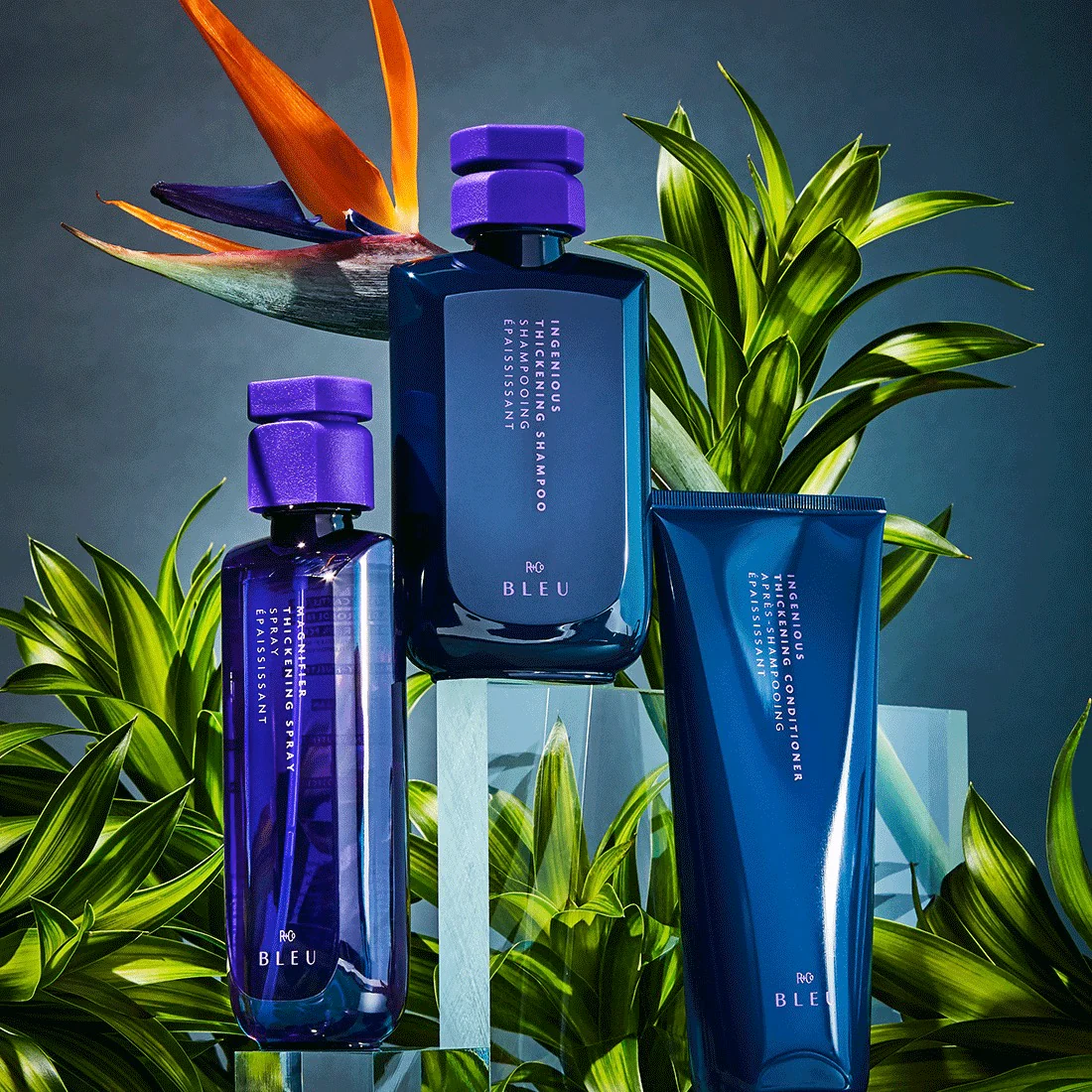 INGENIOUS THICKENING SHAMPOO - Image 3